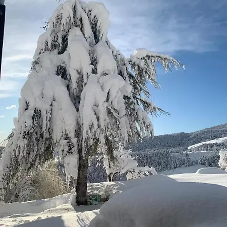 Le Picogu Vakantiehuis Ubraye